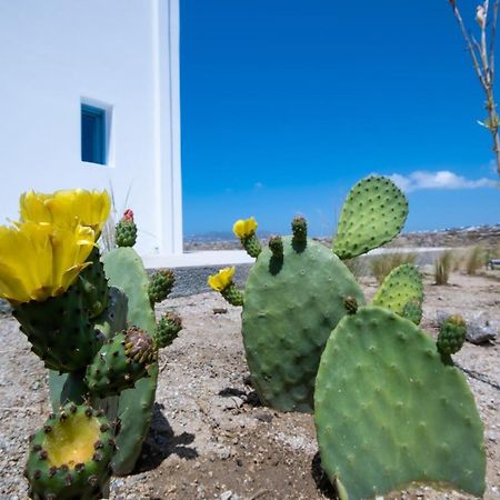 Lilly Villa By Bestofmikonos Ornósz Kültér fotó